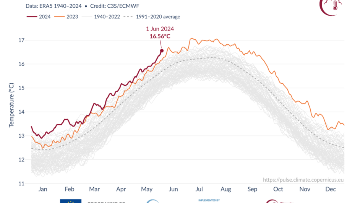 Surfcae Temeratures_2024-06-01 Surfcae Temeratures_2024-06-01
