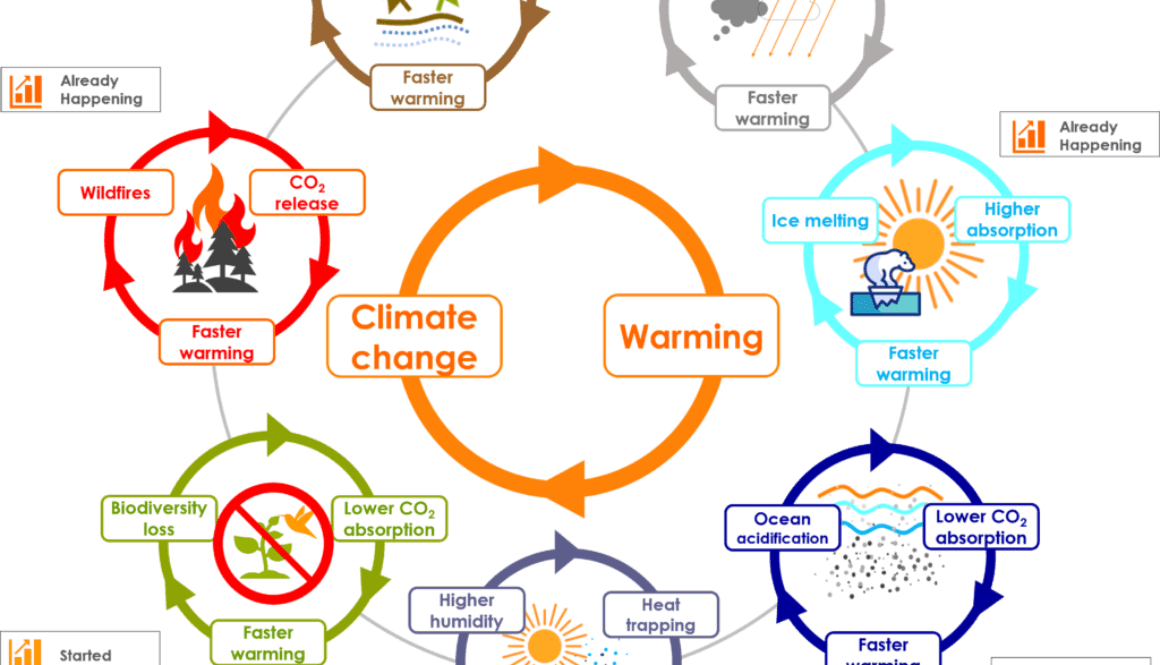 Climate feedback loops Climate feedback loops